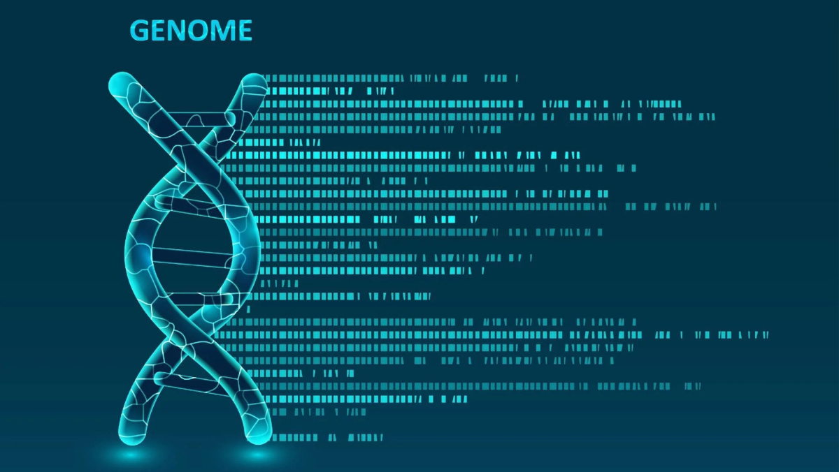 Inside the High-Stakes AI Genome Race