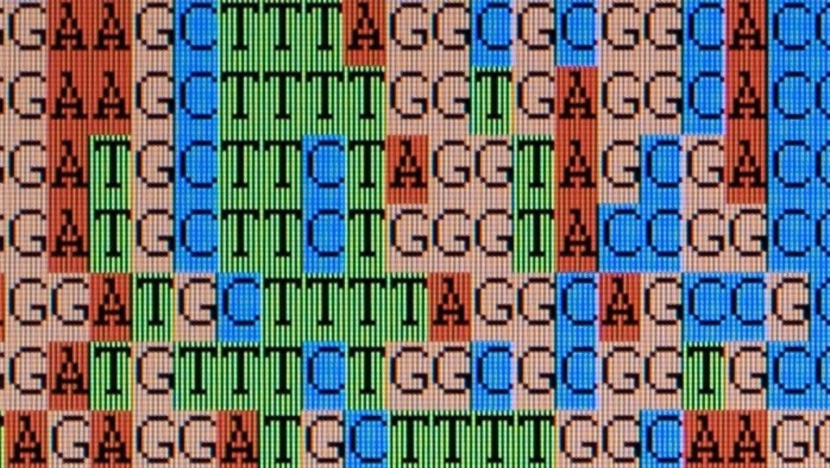 Mystra Ignites New Hopes for Faster Drug Targets