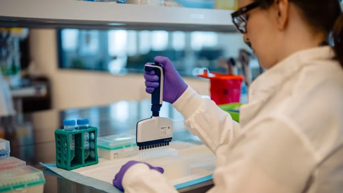 Laboratory scientist using automated pipette during genomics research and drug discovery work